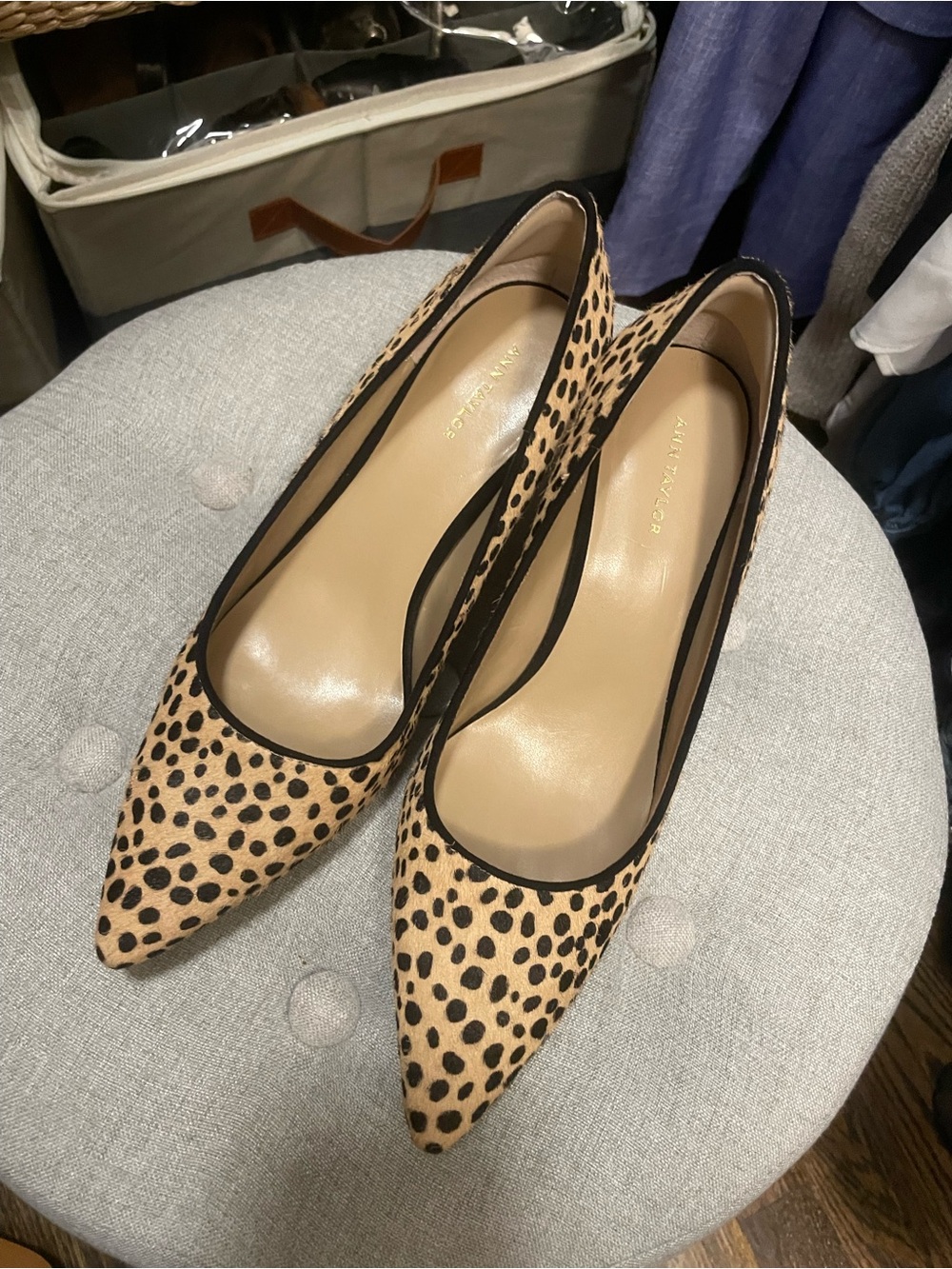 Ann Taylor Leopard Print Pointed Heels in Tan and Black